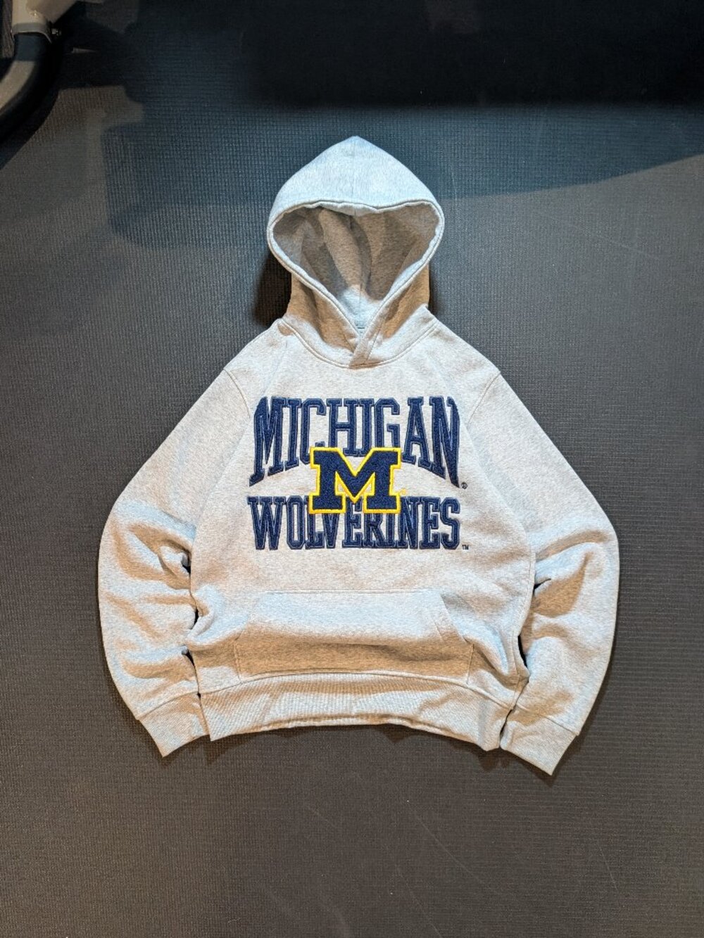 Michigan Wolverines pullover hoodie in heather grey mens medium streetwear y2k